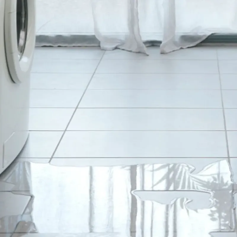 Appliance Leak Cleanup in James City County, VA