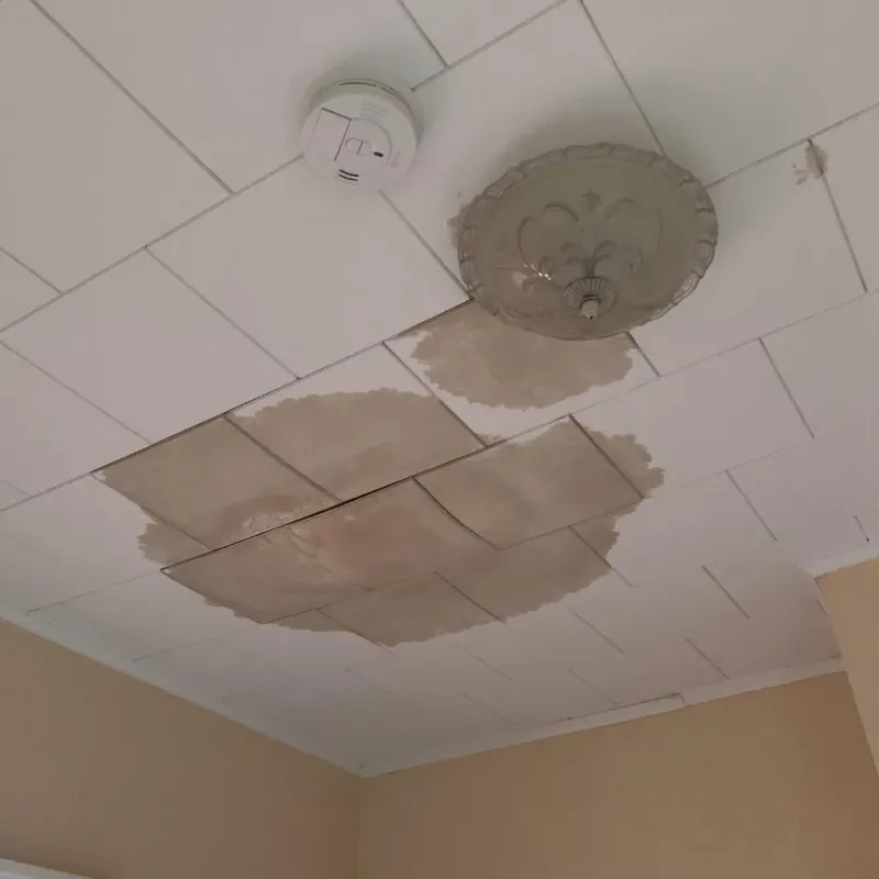 Ceiling Water Damage Repair in James City County, VA