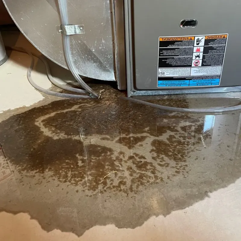 Pipe Burst and Leak Restoration in James City County, VA