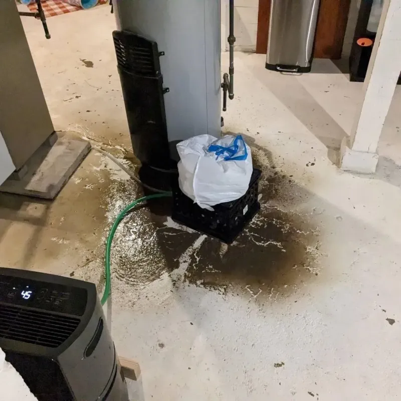 Sewage Backup Cleanup Service in James City County, VA